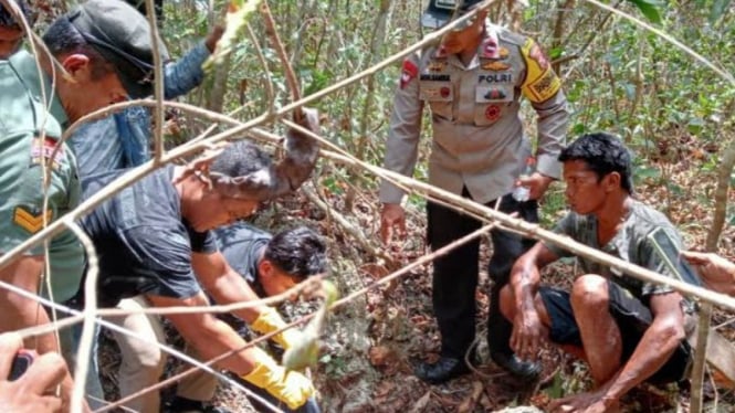 Manusia Ditemukan Tinggal Kerangka di Hutan Buton Diduga Dimangsa Ular Piton