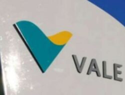 Divestasi Saham Vale Indonesia: Wakil Menteri Tiko Menginginkan Diskon