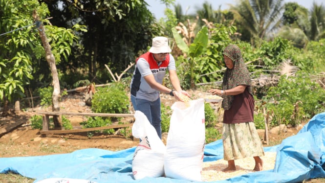 Bagaimana Program JOB Tomori Meningkatkan Kualitas Hidup Suku Loinang di Sulteng?