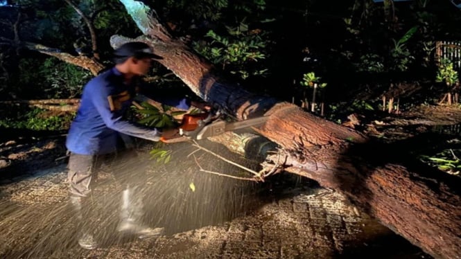 Banjir dan Pohon Tumbang Melanda Depok dan Tangerang Akibat Hujan Deras Semalam