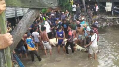 Anak Akhirnya Ditemukan Meninggal Tidak Tertelan Buaya