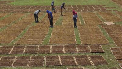 Jelang Pemilihan, 3 Capres Diminta untuk Tetap Memperhatikan Keberlangsungan Industri Tembakau terkait RPP Kesehatan