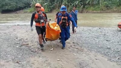 IRt di Tanggamus Tewas Tragis Setelah Diserang Buaya