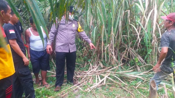 Kepala Desa Meninggal Akibat Disambar Petir di Tepi Ladang Kelapa Sawit