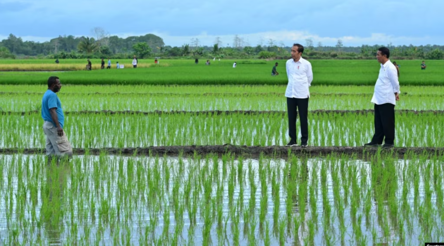 Aktivis Papua Mendorong Dihentikannya Proyek Pertanian Satu Juta Hektar di Merauke