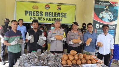 Penyelundupan Ganja 20 Kg di Papua Digagalkan – Insight Menjanjikan