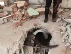 Kelihaian Anjing Pelacak K9 Polri Temukan Korban Gempa Myanmar