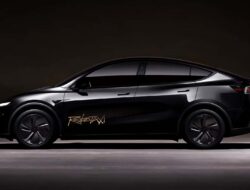 Review Performa Tesla Robotaxi Pekan Pertama