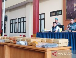 Pengedar Ganja 53 Kg Ditangkap Polres Metro Jakpus: Berita Terbaru