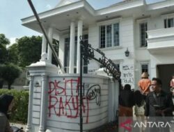 Kisah Lucu Anak Nakal: Curhat Balita Curi Kucing & Sofa