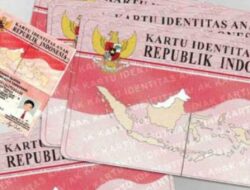 Apa itu KTP Pink? Panduan lengkap dan prosedur yang tepat